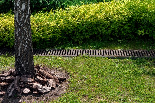 Wet Yard Drainage in Saginaw