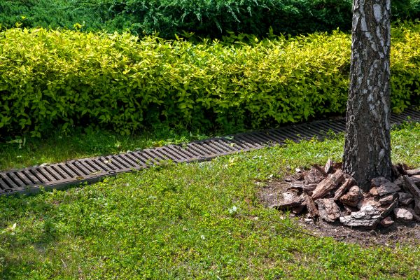 Residential Landscape Drainage in Saginaw